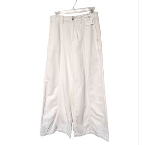 Madewell Tile White Wide Sweep Trouser Jeans Front Center Seam NWT Size 25